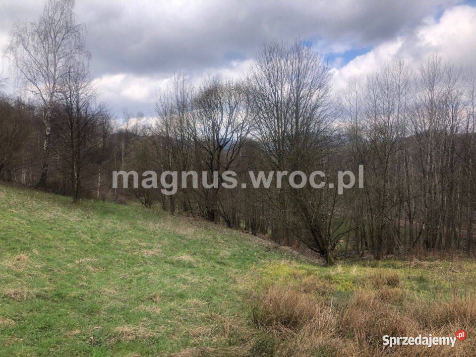 Na sprzedaż duża działka rolna bez mpz w u stóp Olszyniec