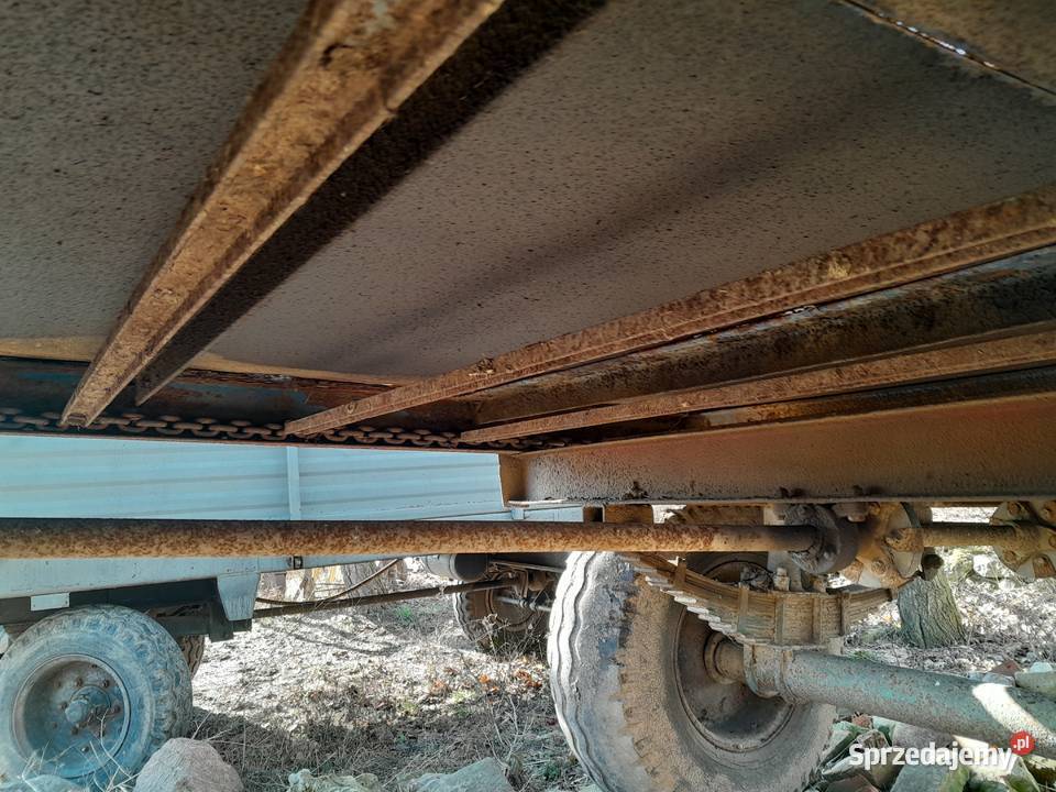 czarna bialostocka Pakość sprzedam