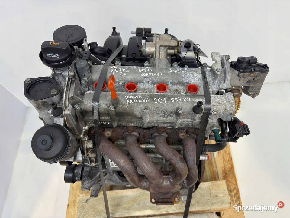 SILNIK VW Touran Golf V Eos Jetta III 16 FSI 115 Chełm