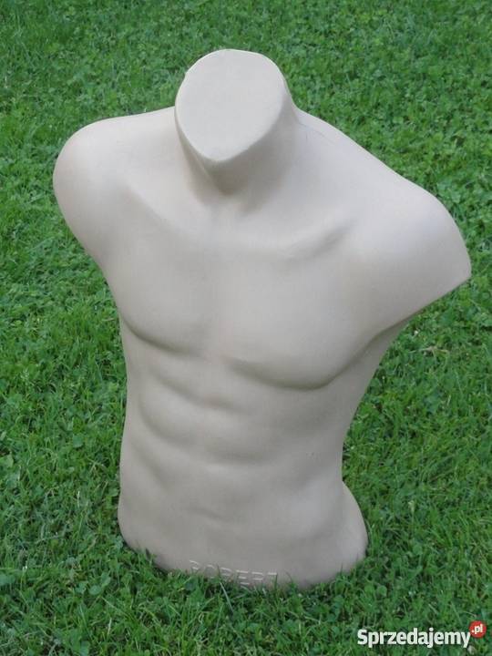manekiny wystawowe męskie TORSY