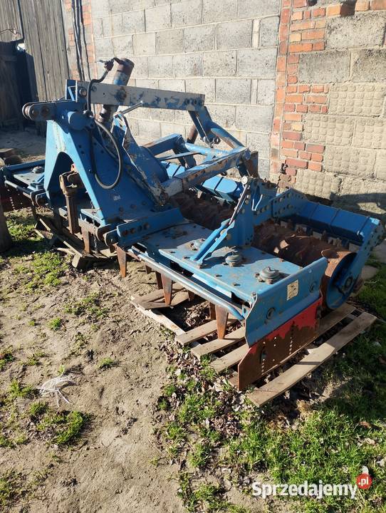 Brona Aktywna Bieganowo