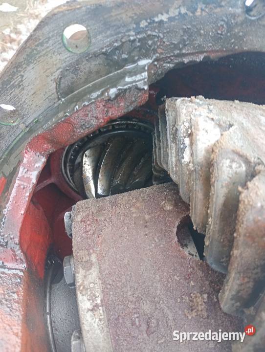 Dyfer dyferencjał wkład mostu ZF AP9HK 319 TEREX wielkopolskie