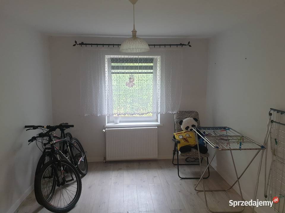 Syndyk sprzeda udziały w działkach w tym udział warmińsko-mazurskie