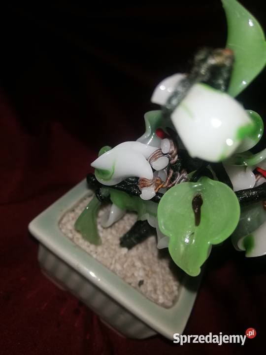 drzewko szczęścia Chorzew