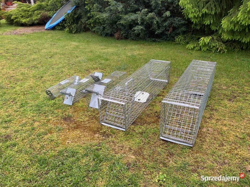 Żywołapki na szkodniki