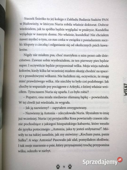 WILKI Adam Wajrak Gorzów Wielkopolski