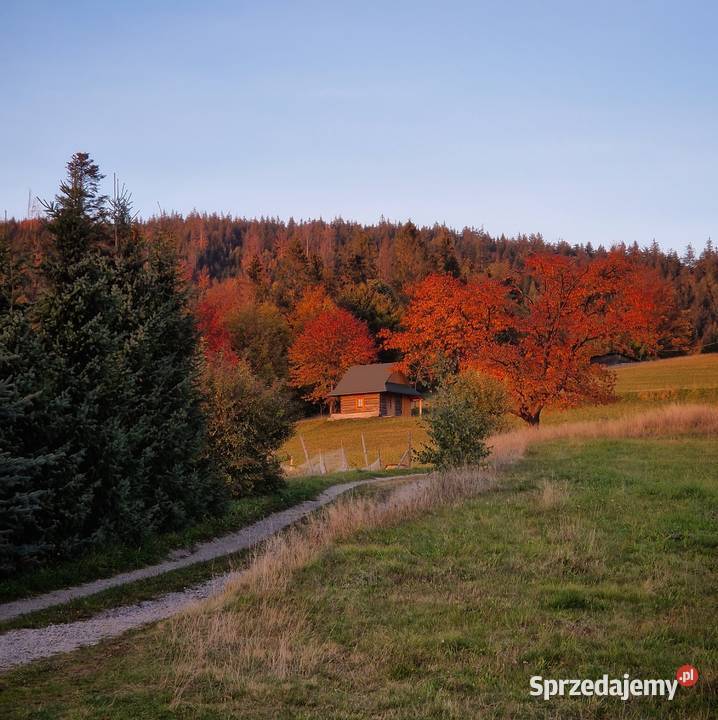 Góralska Chata Bystre Istebna Wisła Beskidy sprzedam