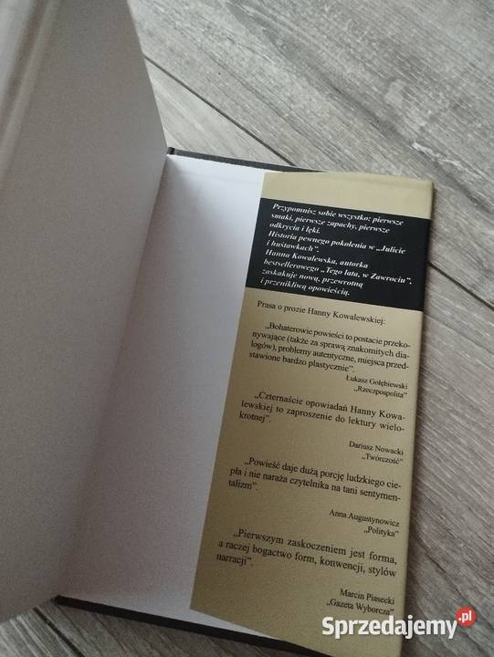 julita i huśtawki hanna kowalewska wielkopolskie