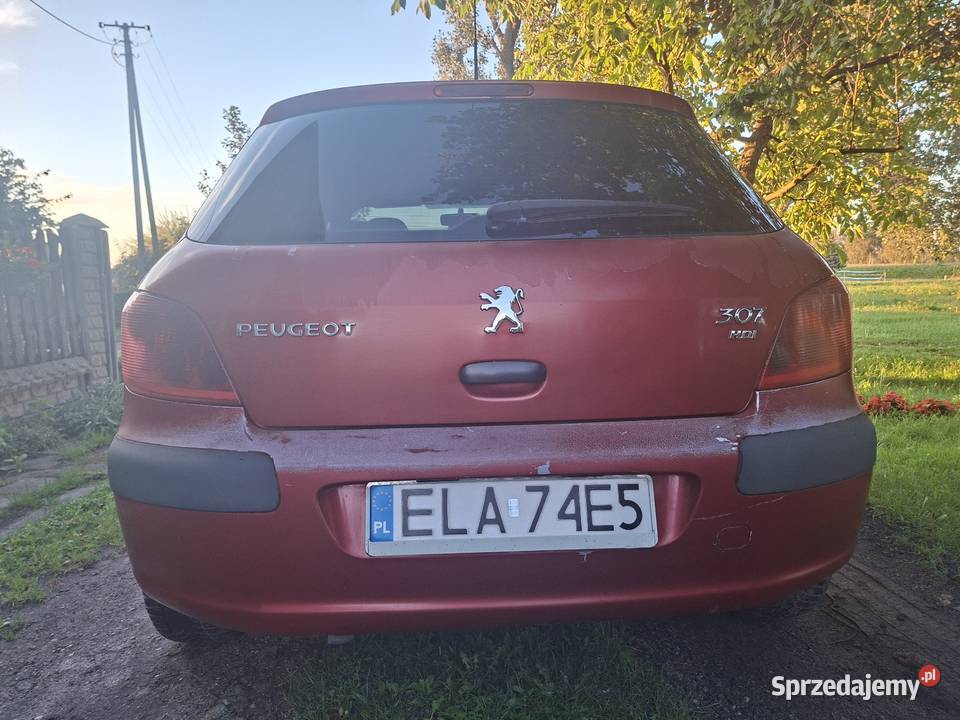 Peugeot 307 20HDI 2003 Łask