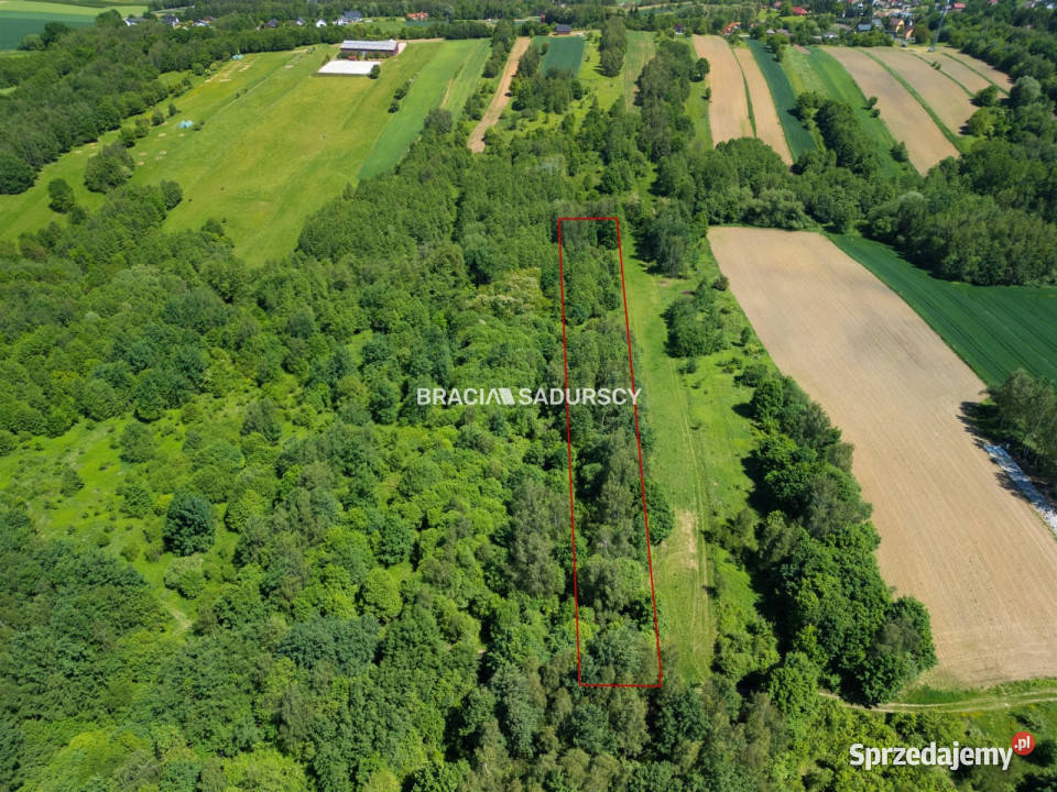 sprzedaży działki 4800 metrów Bodzanów małopolskie