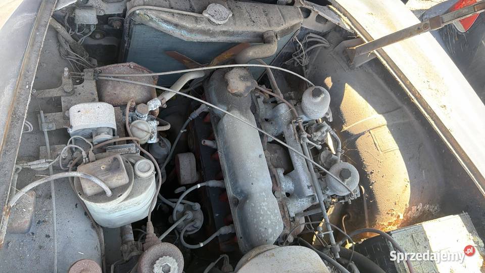 volvo P1800 Jensen łódzkie Krajanka