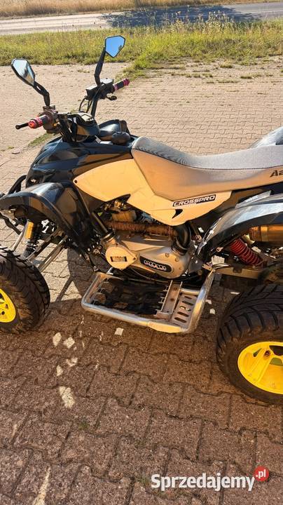 Aeon cobra 400 Sosnowica