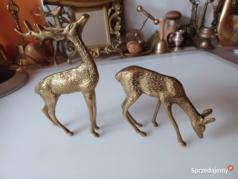 Sarenka I jelonek z mosiądzu Poznań