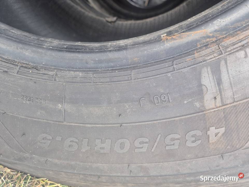 Opony Opona 43550 R195 Zajęczniki