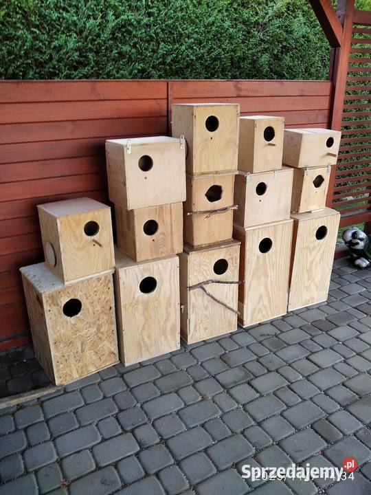 Budki lęgowe sprzedam Świerklany