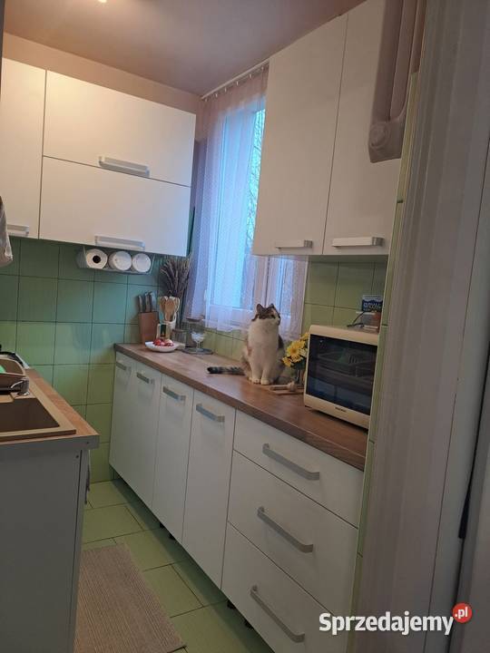 ładna kawalerka remoncie na Dąbrowie Sprzedaż łódzkie Łódź