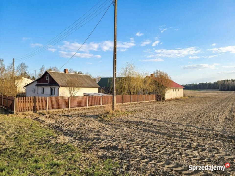 Na sprzedaż siedlisko w Dębicy gm Ostrówek 4271zł/m2 Dębica