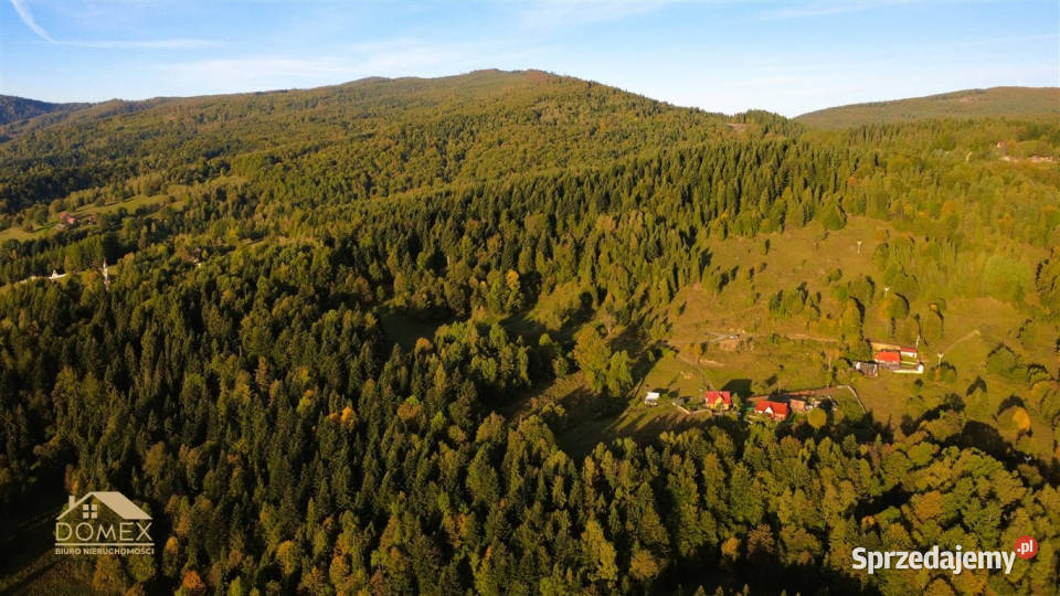 Działka 7198m2 Zawoja