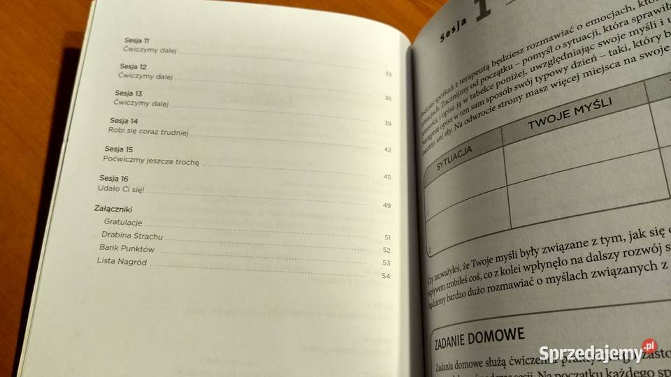 Terapia poznawczobehawioralna zaburzeń program