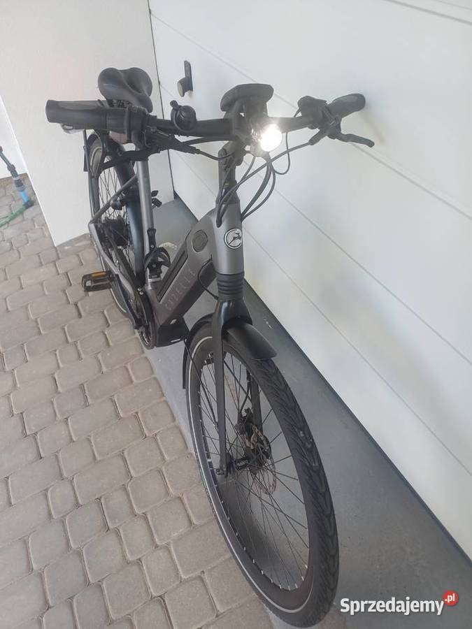 Gazelle Ultimate C380 Bosch 500Wh rower