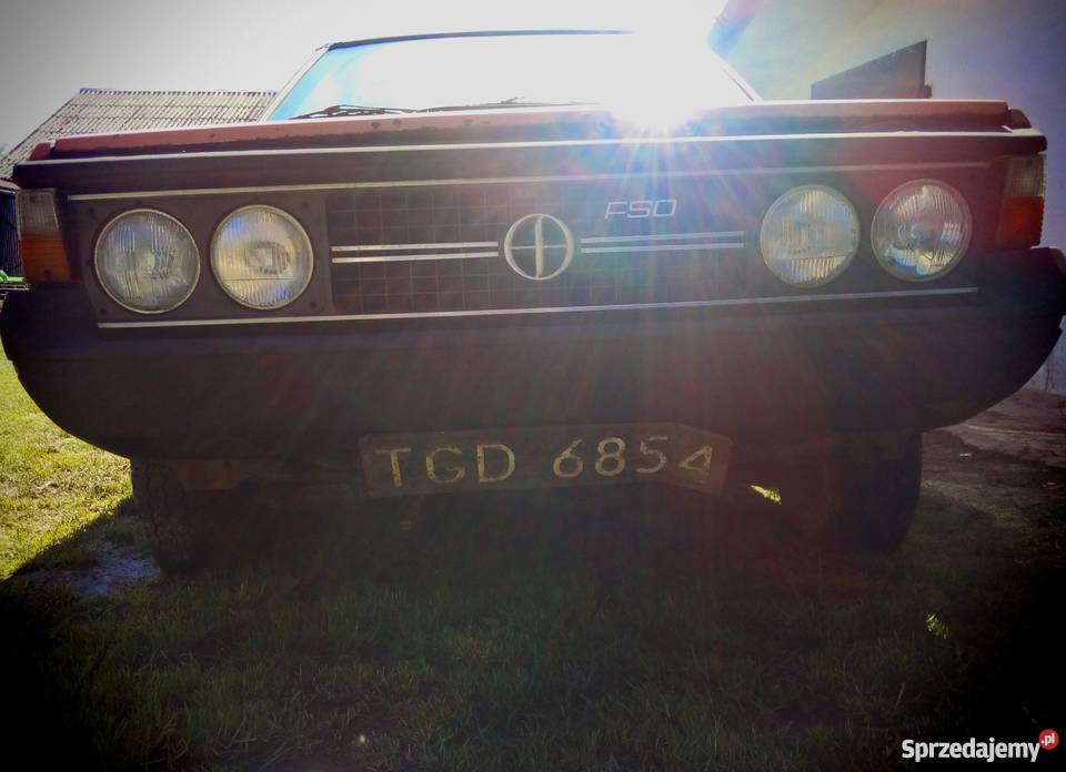 Polonez Borewicz POLSKI KLASYK Koszyce