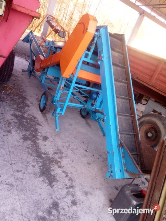 Sortownik Puck buraków cebuli ziemniaków Puck Opatówek