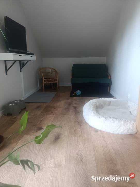 Hotel Psów Jona Wilcza Przystań łódzkie Piotrków Trybunalski
