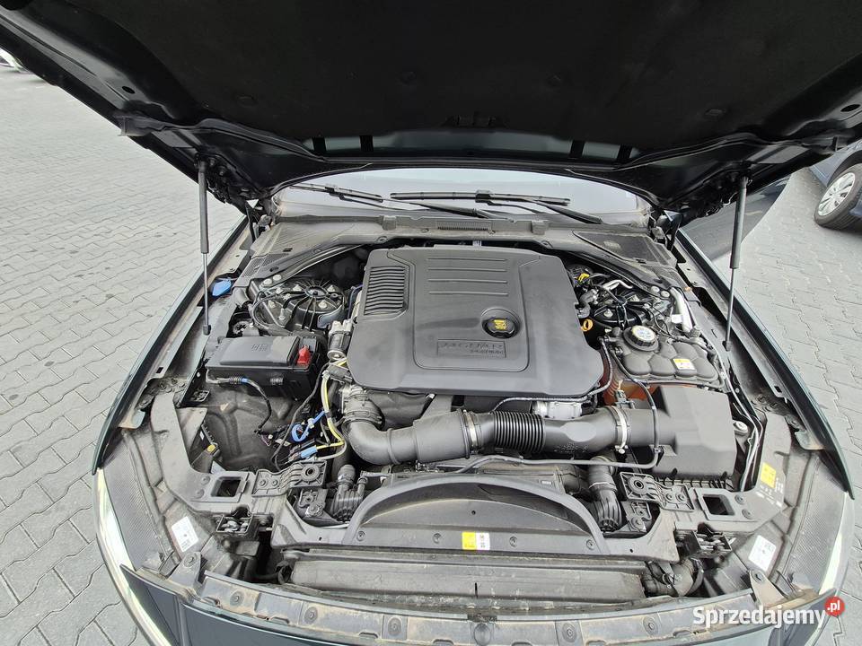 Syndyk sprzeda JAGUAR XF 20 D MR21 E6 WF5820X 200KM mazowieckie Warszawa
