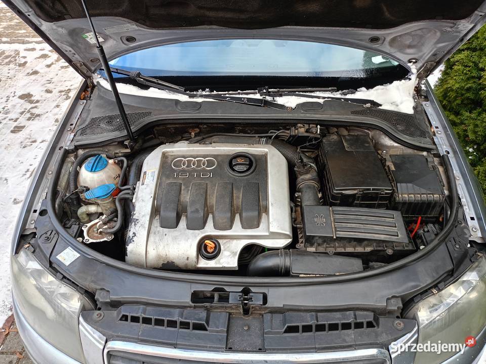 Audi A3 19 TDI Hatchback Łobez sprzedam