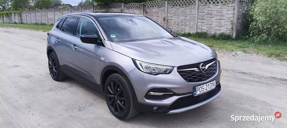 Opel grandland x światła LED wielkopolskie Ostrów Wielkopolski