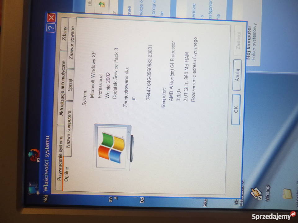 komputer pc win xp Pleśna