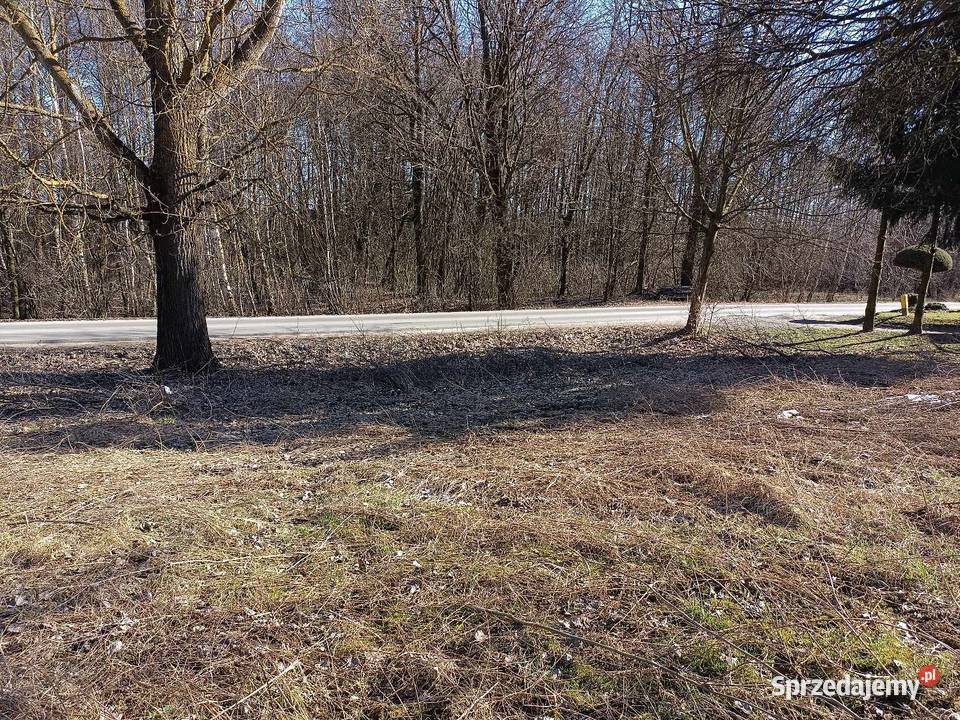Działka pod Lublinem Radawczyk-Kolonia Pierwsza sprzedam