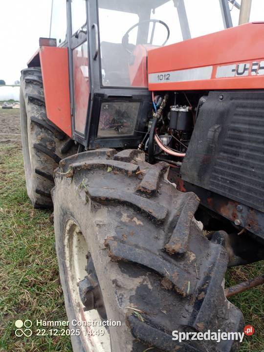 ursus Ursus Odechów