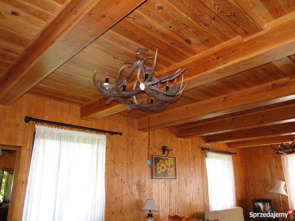 Dom ze stawem siedlisko rekreacja cicha okolica mazowieckie Dawia