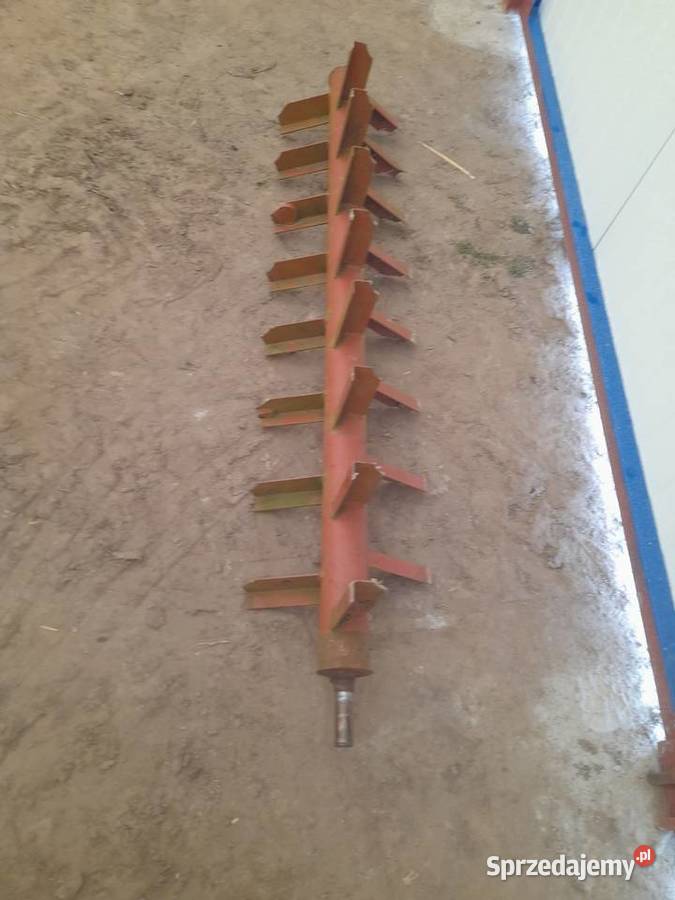 Bęben rozrzutnika Września