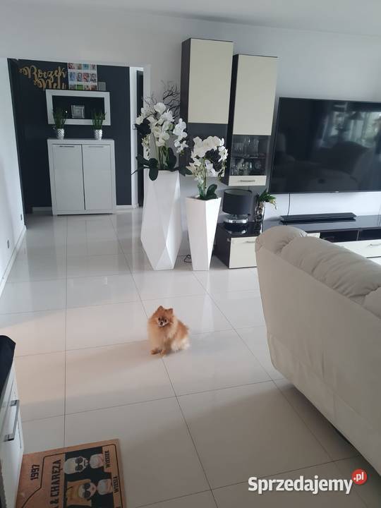 Mieszkanie 90 m2