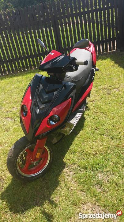 Sprzedam Kenos Purga Chojnice sprzedam