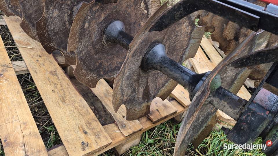Talerzówka v2 Horyszów Polski sprzedam