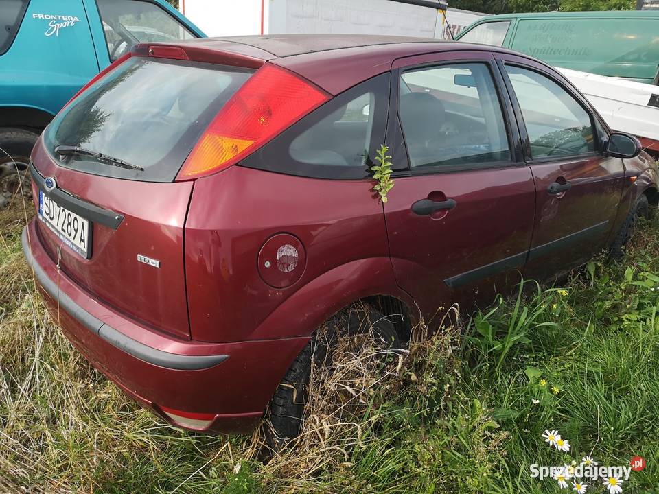 Fotd Focus 18 tdci Hatchback Trzyciąż