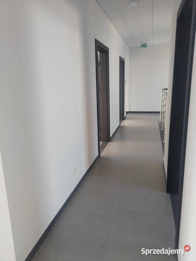 Lokal na szkołę korepetytorską językową 137m2 z Kielce