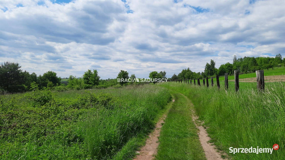 Działka 2013m2 Rudno