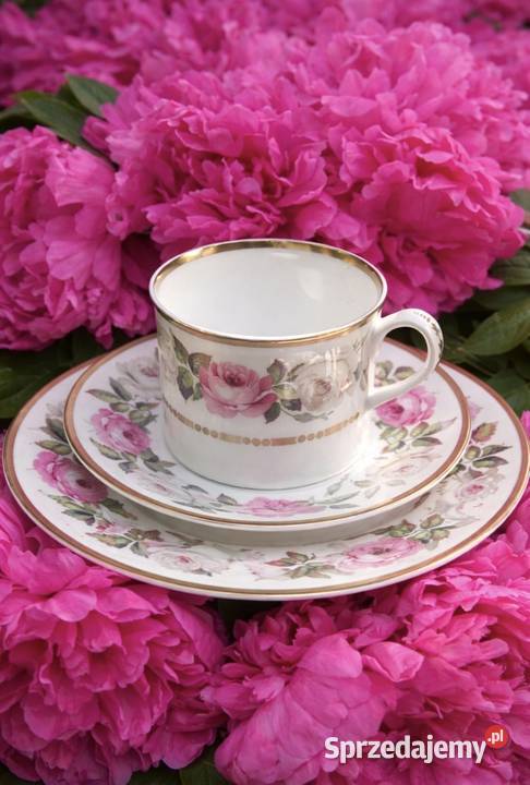 ROYAL WORCESTERurocze różane TrioROYAL GARDEN Porcelana i szkło