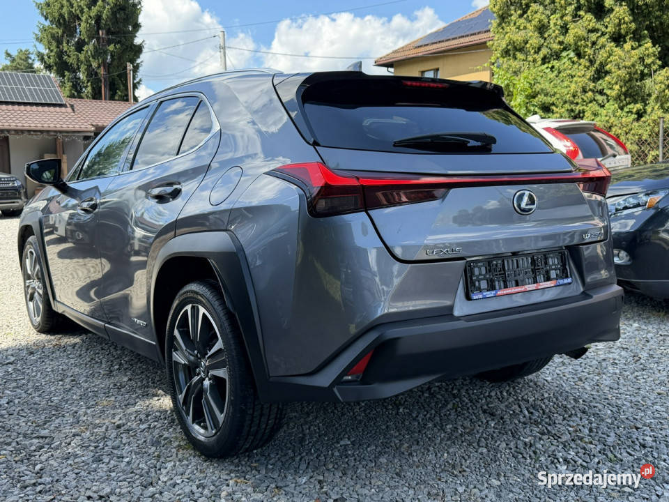 Lexus UX 250 Hybrid Skóra Ful LED Premium śląskie