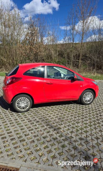 Ford Ka 2010 12 niski przebieg czerwony Katowice sprzedam
