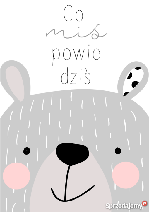 Przedszkole Misiowo Łódź czesne 450 opieka