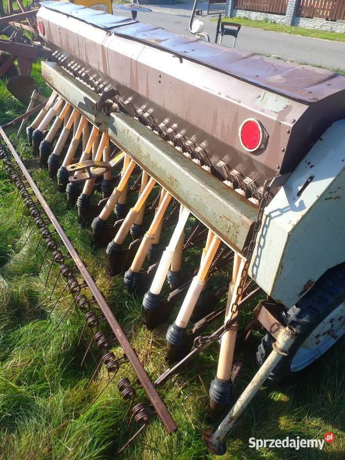 Siewnik podkarpackie Jarosław