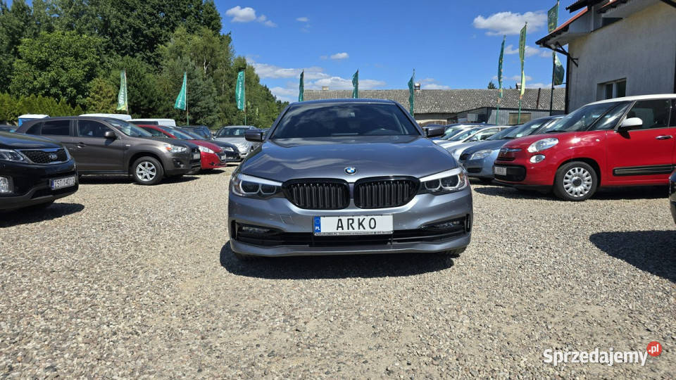 BMW 520 Luxury Line MPakiet CarPlay Full LED Zieleniewo