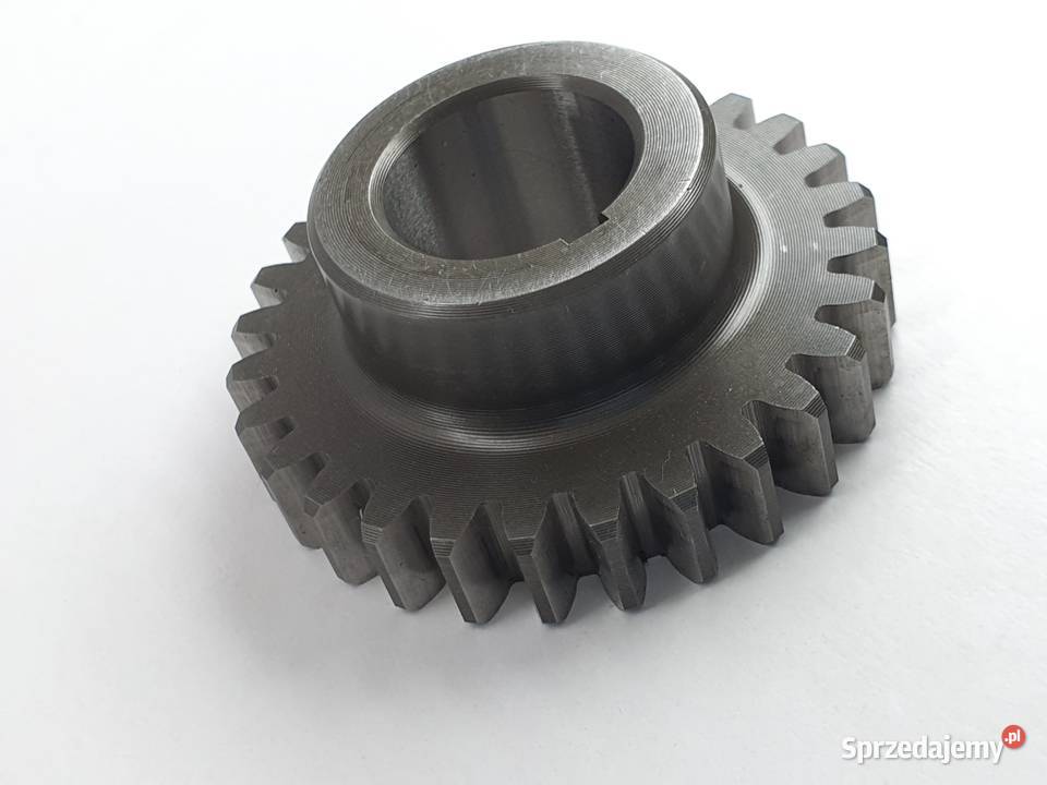 Tryb Walu Zebatka Beta 250 Silniki i osprzęt Łódź