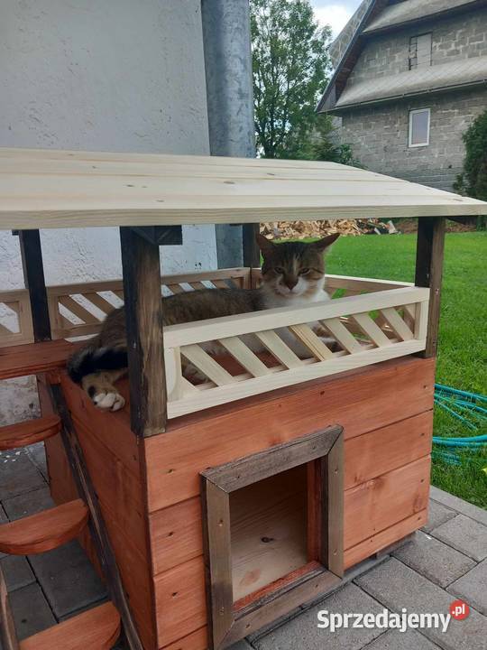 fajn y kojec kota małego pieska Kościelisko sprzedam