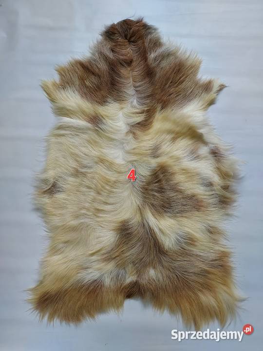 Skóra z Kozy XXL Dekoracyjna Naturalna Skóry małopolskie Szaflary